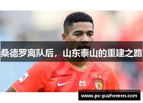 桑德罗离队后，山东泰山的重建之路