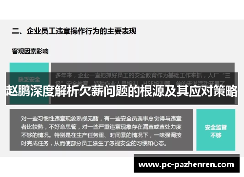 赵鹏深度解析欠薪问题的根源及其应对策略