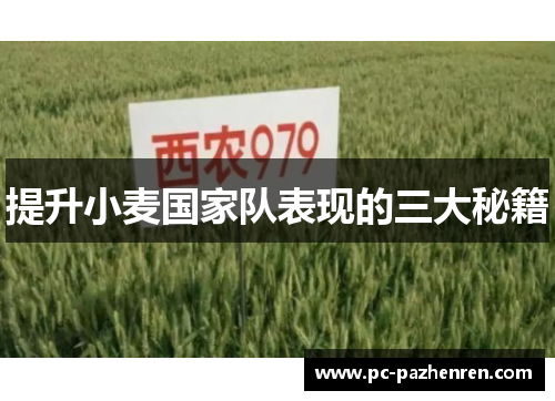 提升小麦国家队表现的三大秘籍 提升小麦国家队表现的三大秘籍