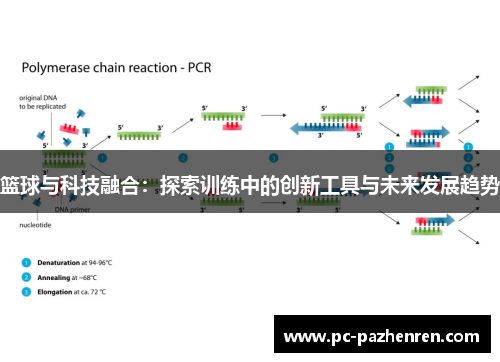 篮球与科技融合：探索训练中的创新工具与未来发展趋势